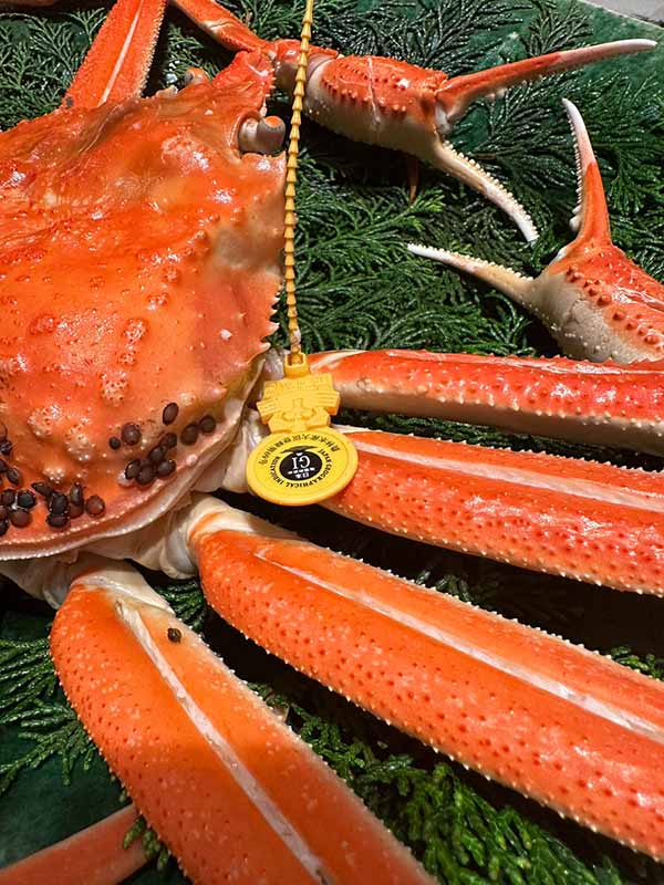 蟹解禁、望洋楼から福井の旅