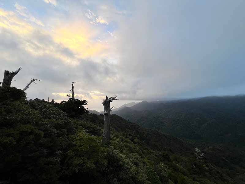 ４年ぶりの屋久島へ