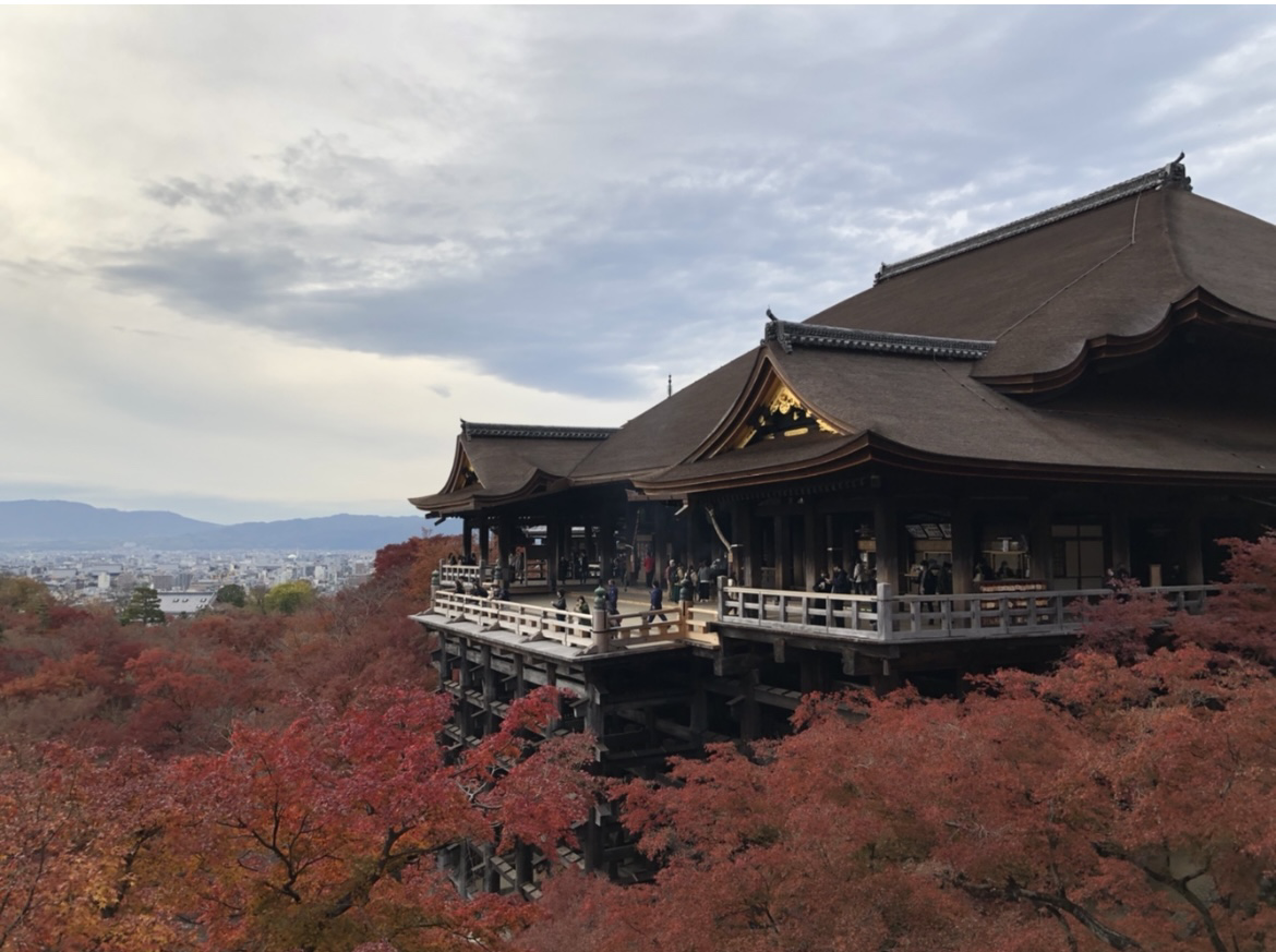 はじめまして！