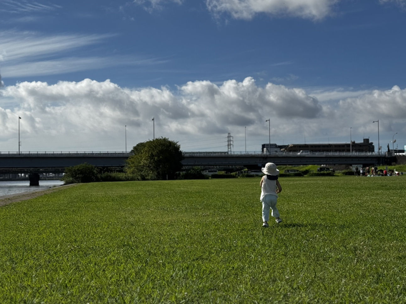 猛暑です！調光レンズです！！