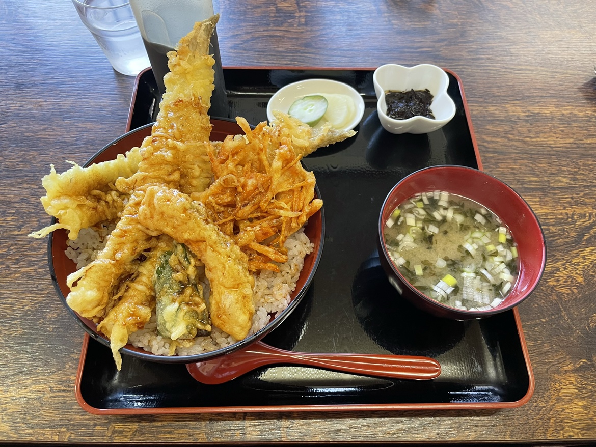 初めまして🙇