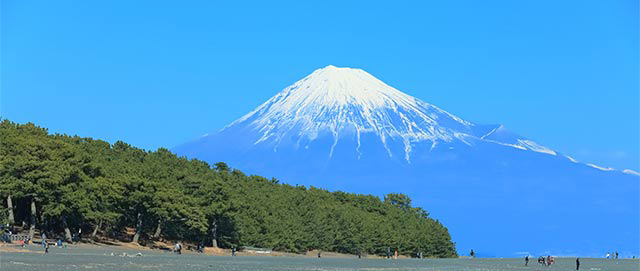✨ 朝活 in 静岡：サウナとアサイー