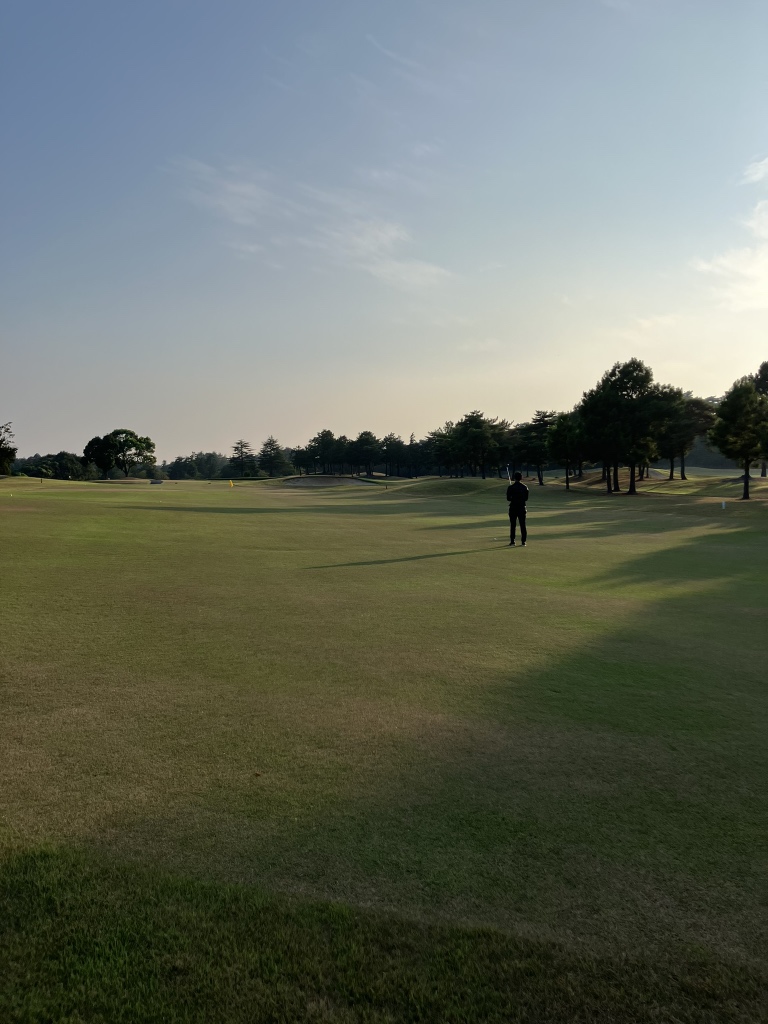 夏の最後といえば柏のざね⁉