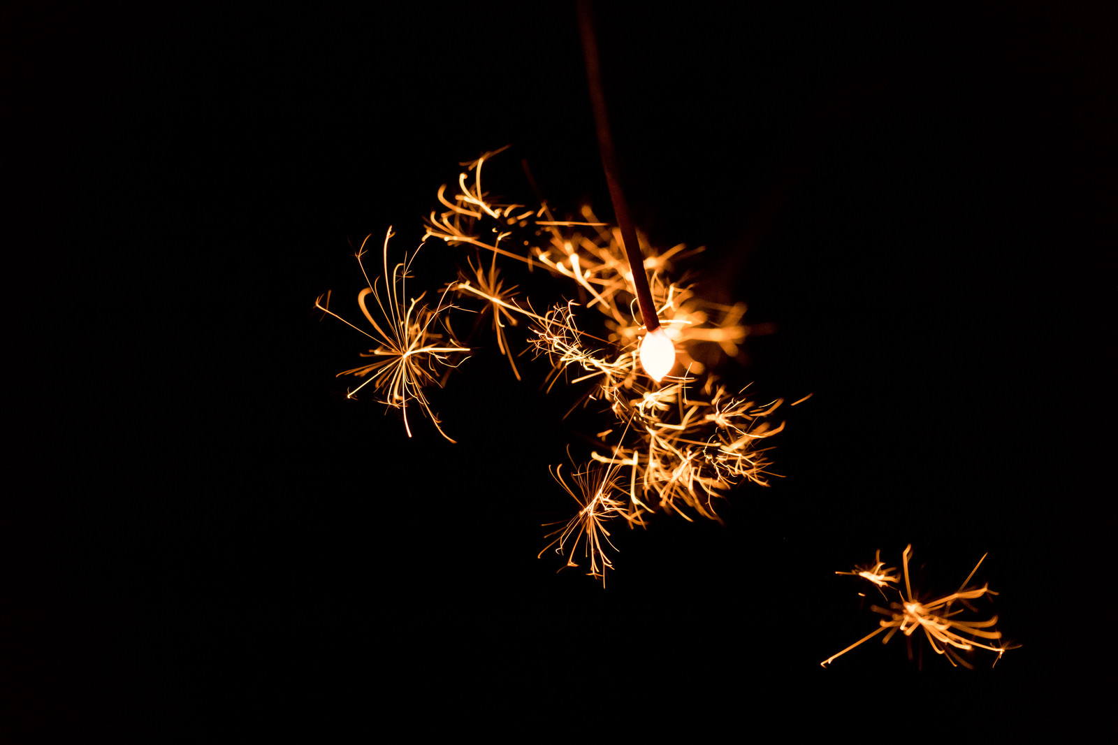 家族と過ごす夏