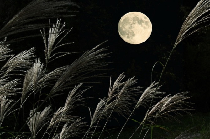 私にとっての秋分