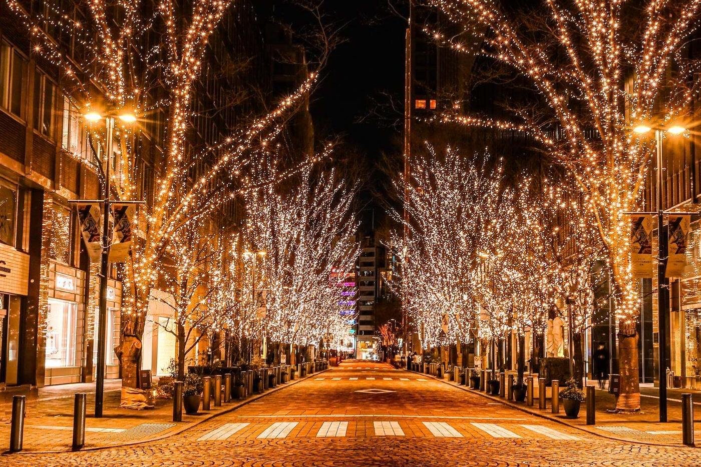 冬のはじまりに、心躍るクリスマス支度を🎅