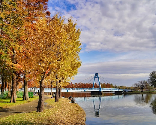 東京の癒しスポット 🌿 私の心のふるさと、葛飾区を全力プレゼン💖