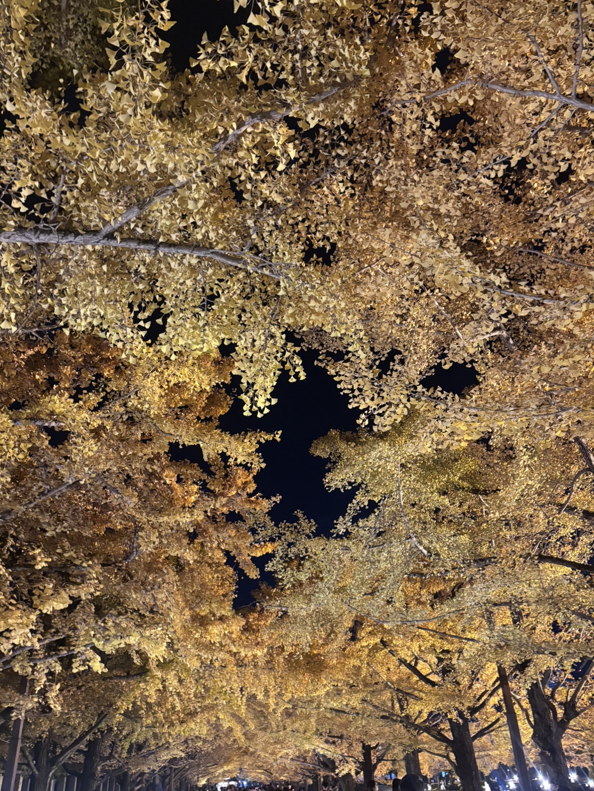 冬のはじまりに