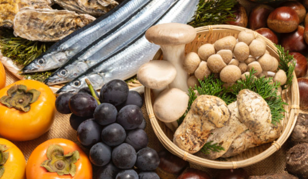 本格的な冬が来る前に