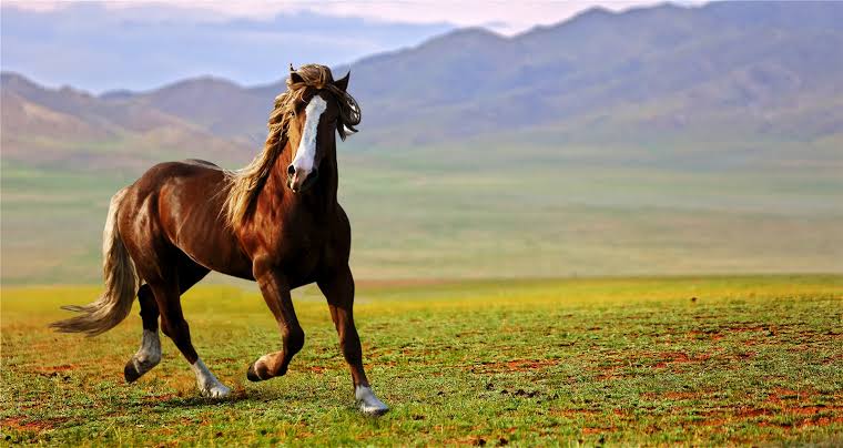 2026仕事始めの日