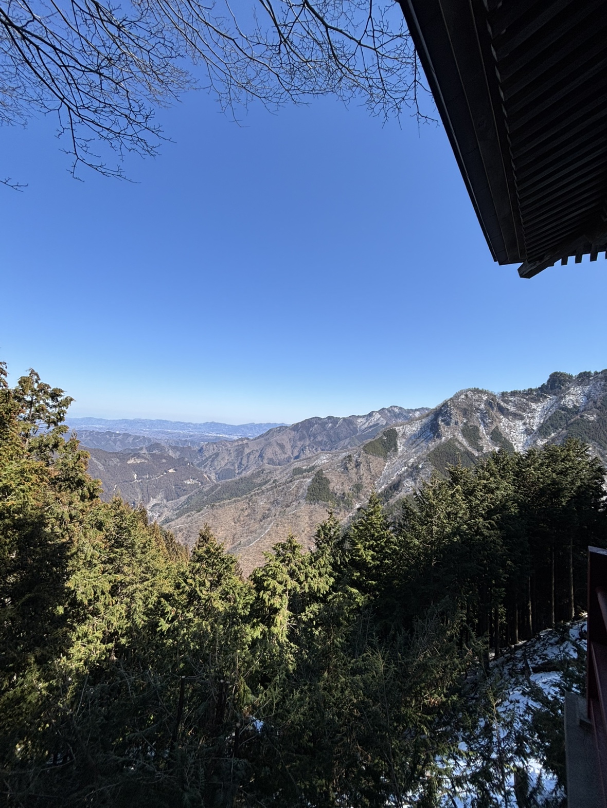 山の気に、背中を押されて