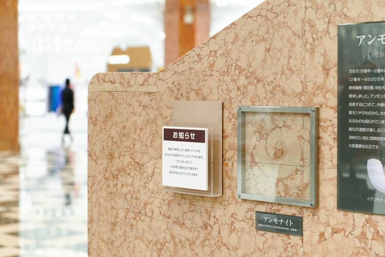 デパートに眠る「時間」― 日常の中にある数億年の体験価値 ―